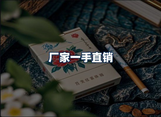 专业团队办公环境